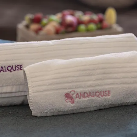 ホテル Andalouse トラブゾン